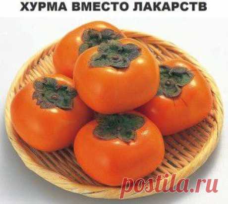 Хурма вместо лекарств