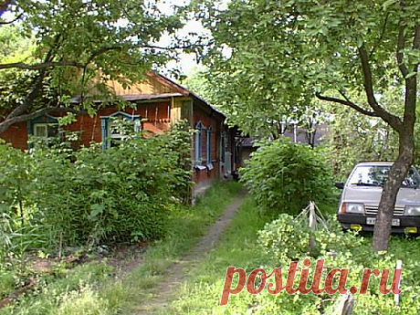 Медицинская помощь на даче - СОХРАНИ!.