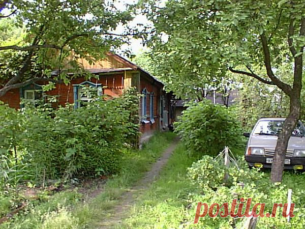 Медицинская помощь на даче - СОХРАНИ!.