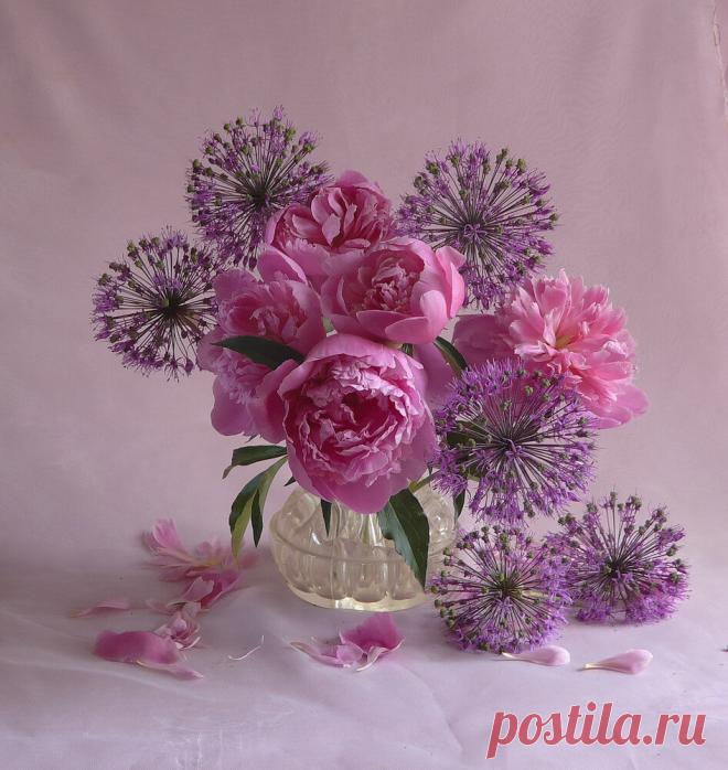 Фотонатюрморты от Tamie Tofo(Запорожье)