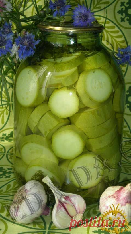 Кулинарный блокнотик для дочери - Соления и маринады - Консервированные кабачки с водкой