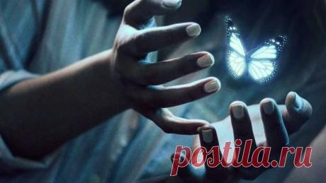 &quot;5 воров энергии&quot;: Как стать энергичнее, избавиться от лишнего хлама, и начать жить более счастливо | Счастье в итоге | Яндекс Дзен