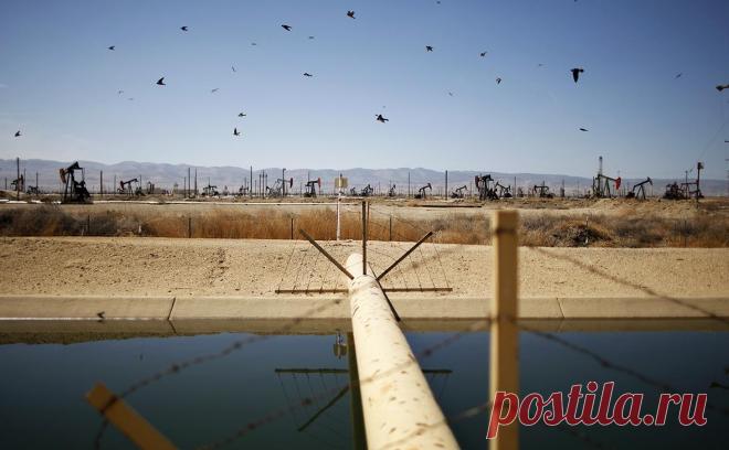 США увеличили добычу сланцевой нефти на фоне сокращения добычи ОПЕК+. США превысили прогноз по добыче в текущем квартале на 800 тыс. барр. в сутки, объем составил 13,3 млн барр. В то же время страны ОПЕК+ сокращают добычу — Россия с марта снижает ее на 500 тыс. барр. в сутки