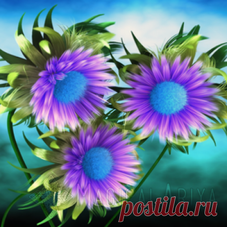 EverlaSkin