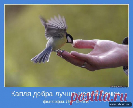 Капля добра...