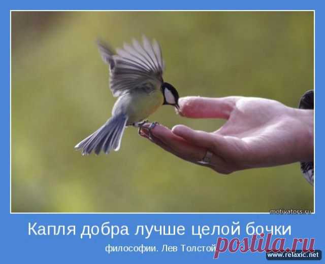 Капля добра...