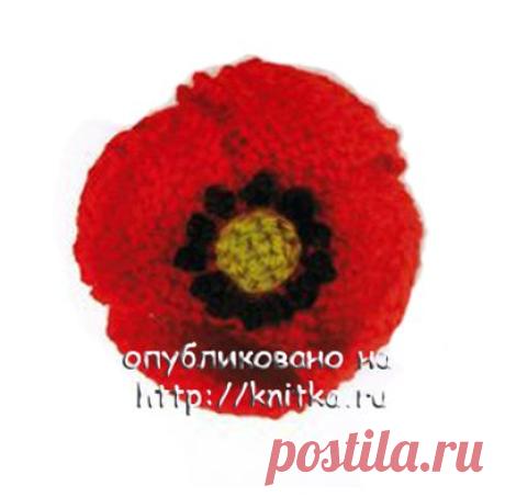 Вязаные цветы. Подборка из 17 схем вязаных спицами цветов на knitka.ru из рубрики Узоры для вязания спицами. Вязание спицами модели и схемы на kNITKA.ru