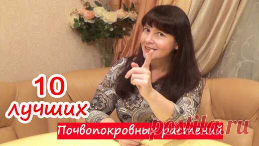 10 лучших почвопокровников из СЕМЯН! Почвопокровные цветы и растения для альпийской горки, рокария, вдоль дорожек. В этом видео я расскажу Вам о почвопокровных растениях для своего сада,…