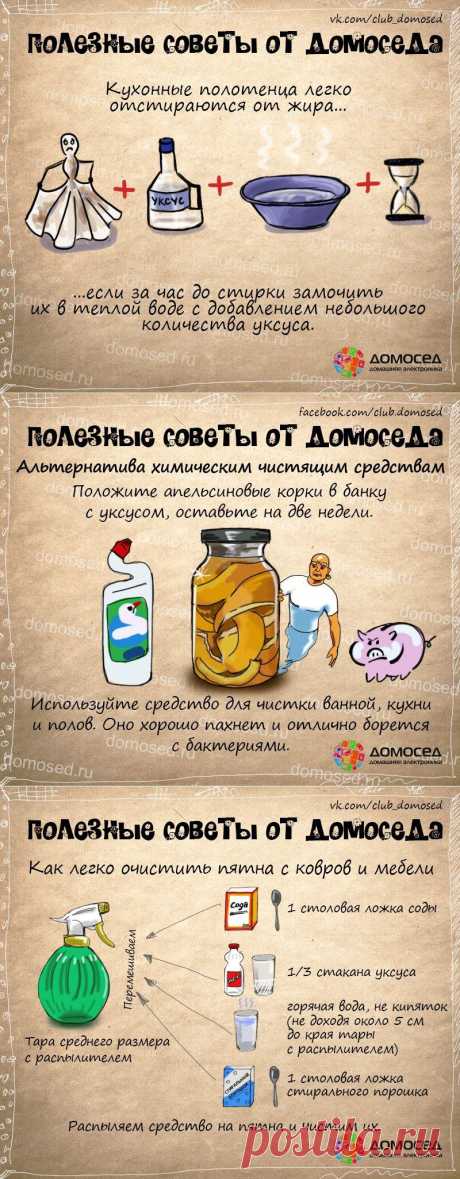 Полезные советы от Домоседа
