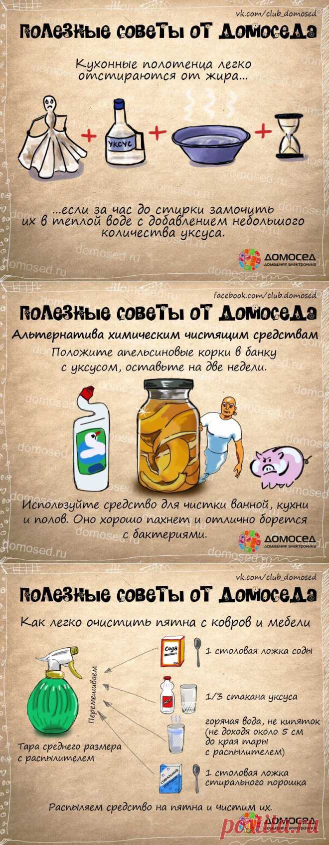 Полезные советы от Домоседа