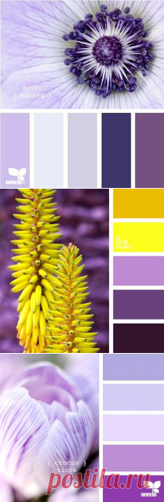 (953) Pinterest