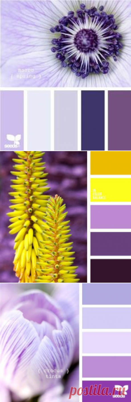 (953) Pinterest
