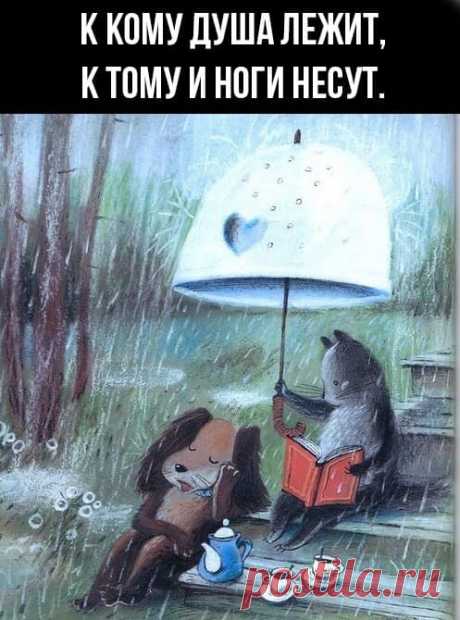 к кому душа лежит, к тому и ноги несут