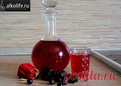 Спотыкач: рецепт из черной смородины, вишни и сливы