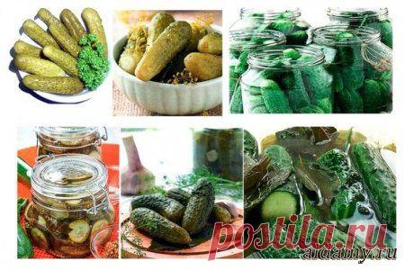 15 лучших рецептов огурцов на зиму &raquo; Любимые рецепты
