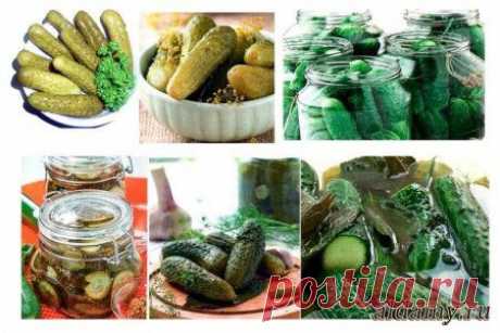 15 лучших рецептов огурцов на зиму &amp;raquo; Любимые рецепты