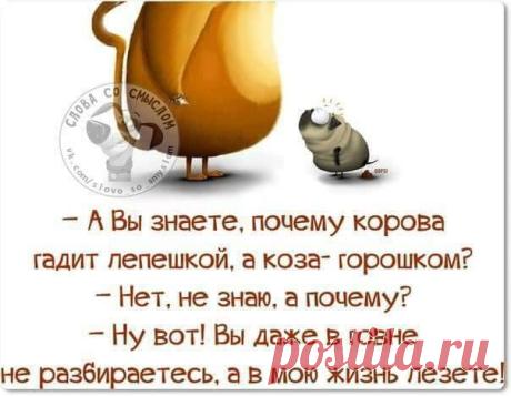b38516e7.jpg (Изображение JPEG, 604 × 469 пикселов)