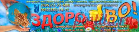 Настойка гриб дождевик лечебные свойства, описание, при лечении лимфы и крови, при дисбактериозе, гепатите, заболевании почек, при прыщах и фурункулах