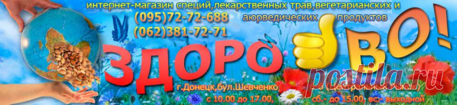 Настойка гриб дождевик лечебные свойства, описание, при лечении лимфы и крови, при дисбактериозе, гепатите, заболевании почек, при прыщах и фурункулах