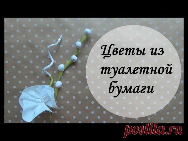 Привет всем! Хочу показать 7 простых способов ЦВЕТОВ из туалетной бумаги!  
Советую посмотреть, очень забавно и интересно 1. Сделайте бумажные цветочки и украсьте ими открытки или стену. . 
 2. Прикрепите цветы из бумаги на дверь или карниз.
Будет очень мило. . 
 3. Вырежьте из газеты красивые цветы и прикрепите их к ножкам стола. . 
 4. Используйте бумагу как салфетки на столе.
Очень красиво. . 
 5. Сделайте гирлянду из цветов.
Вырежьте из цветной бумаги и приклейте на нитку. . 
 6. Используй…