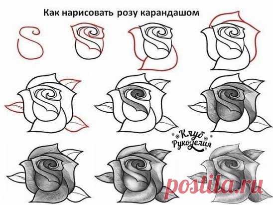 (6) Одноклассники