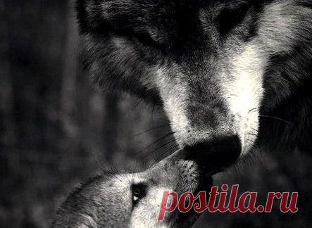 Философия | Психология | Саморазвитие | Группы Мой Мир