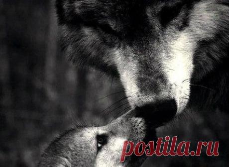 Философия | Психология | Саморазвитие | Группы Мой Мир