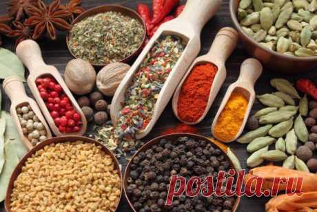Вкусные рецепты