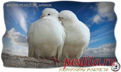 Стена
