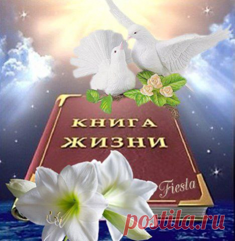 Любите жизнь такой, как есть!
Любите вдох и выдох вволю!
Печаль и радость-все не счесть. Не осуждайте свою долю...Есть море счастья, но и боль. Есть детство, юность, но и старость. И в каждом времени есть роль, И не ссылайтесь на усталость.