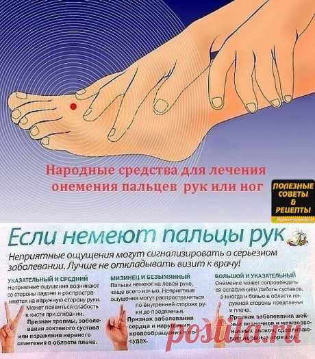 НАРОДНЫЕ СРЕДСТВА ПРОТИВ ОНЕМЕНИЯ РУК И НОГ 
Онемение рук — симптомы, которые могут сопровождать различные заболевания.Поэтому очень важно сделать обследование и выявить причину онемения рук. Артрит, артроз, остеохондроз…. 
Причин может быть множество. Онемение рук сопровождают боли, которые порой невыносимы. 
Народная медицина советует облегчить недуг с помощью простых и доступных средств. 
Фитотерапевты утверждают, что растение донник лекарственный помогает устранить оне...