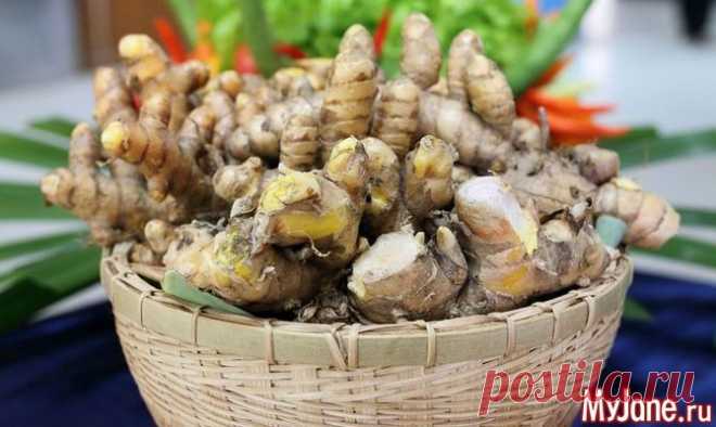 Универсальное лекарство - имбирь, полезный продукт, здоровое питание, растения