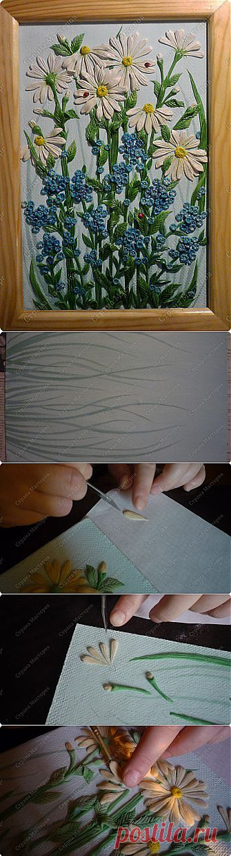 Луговые цветы.