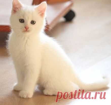 хх