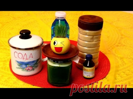 Самое лучшее  средство для мытья