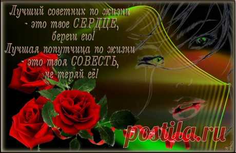 Мудрые слова.