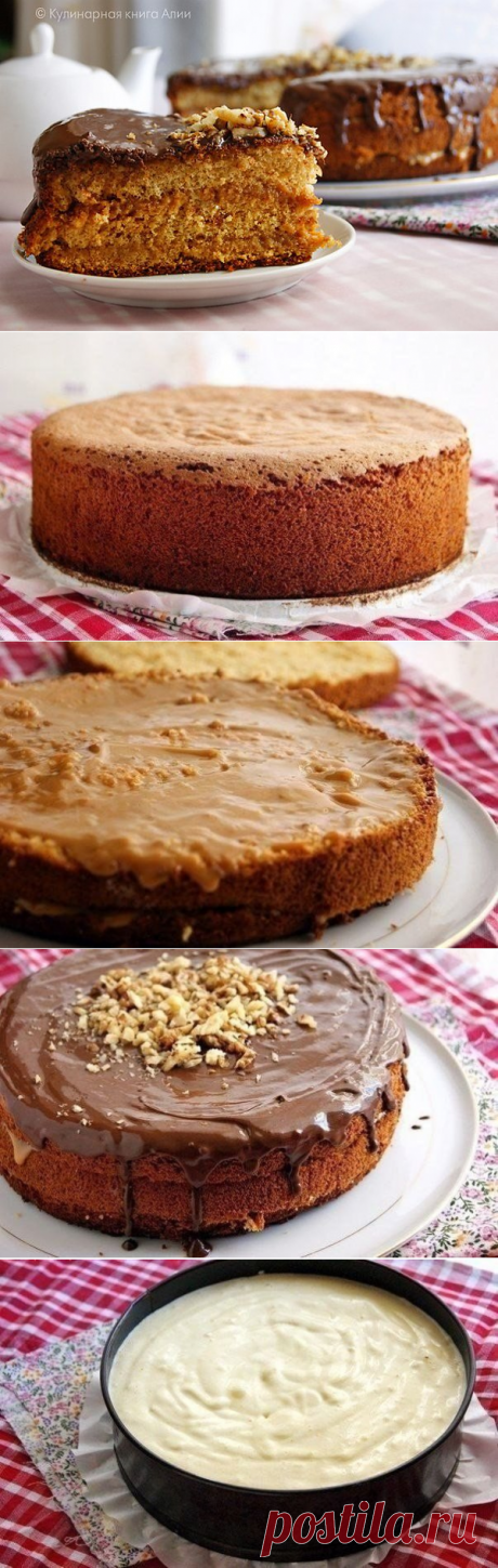 Очень вкусный нежный медовый бисквит