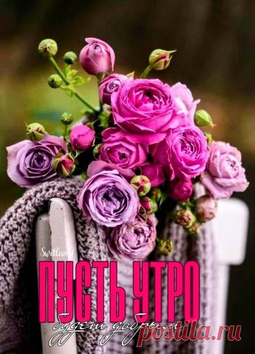 Доброе утро