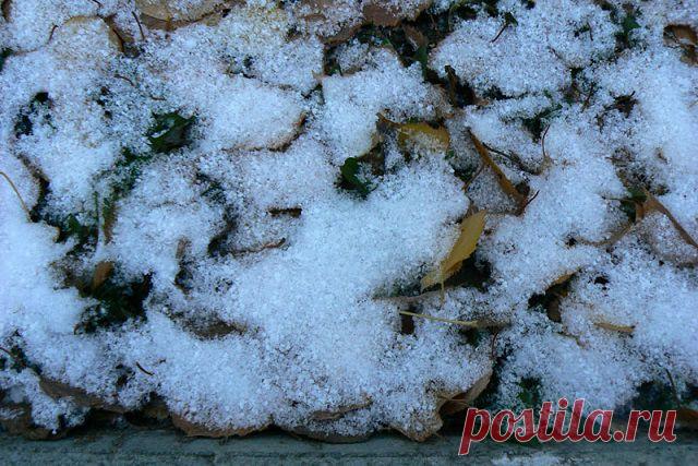 Народные приметы: 5 ноября - Погода на Joinfo.ua