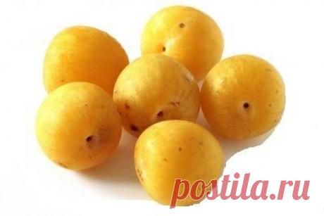 Полезные свойства и вред алычи (+ фото)