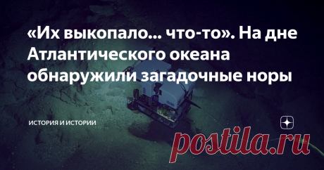 «Их выкопало… что-то». На дне Атлантического океана обнаружили загадочные норы Мировой океан - это мировая загадка. Мы знаем о нем гораздо меньше, чем хотелось бы, наши знания об океане куда более скудные, чем знания о суше. Вот и сейчас ученые столкнулись с очередной тайной, которая подстерегла их среди горных разломов на дне Атлантического океана.  В июле для изучения океанских бездн отправилась вторая по счету экспедиция «Путешествие к хребту-2022». Ее цель - как следуе...