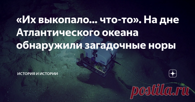 «Их выкопало… что-то». На дне Атлантического океана обнаружили загадочные норы Мировой океан - это мировая загадка. Мы знаем о нем гораздо меньше, чем хотелось бы, наши знания об океане куда более скудные, чем знания о суше. Вот и сейчас ученые столкнулись с очередной тайной, которая подстерегла их среди горных разломов на дне Атлантического океана.  В июле для изучения океанских бездн отправилась вторая по счету экспедиция «Путешествие к хребту-2022». Ее цель - как следуе...