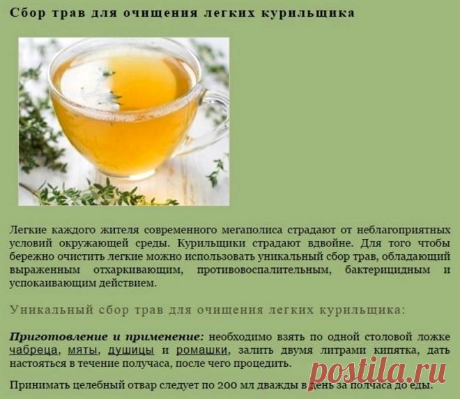 Сбор трав для очищения легких курильщика