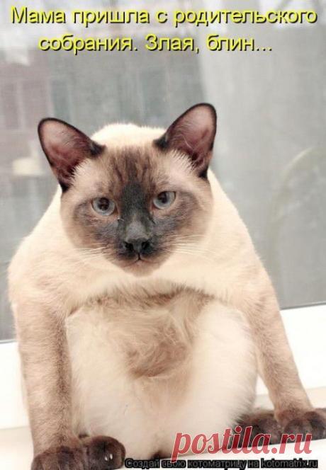 Хорошего настроения! | Уши, лапы, хвост