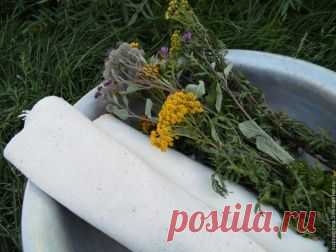 Окрашивание ткани природными красителями | all Dolls