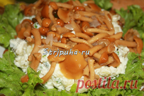 Салат грибная полянка — Домашняя кулинария
