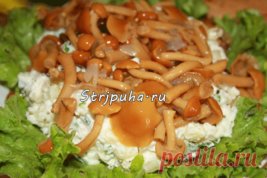 Салат грибная полянка — Домашняя кулинария