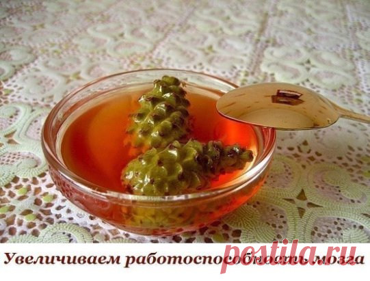 УВЕЛИЧИВАЕМ РАБОТОСПОСОБНОСТЬ МОЗГА.
РАСШИРЯЕМ СОСУДЫ ДЛЯ ПИТАНИЯ ГОЛОВНОГО МОЗГА.
Средства ОЧЕНЬ сильные, поэтому не увеличивайте дозировку, иначе можно навредить себе
Сосновый настой
Лучшим народным средством являются молодые побеги сосны, появляющиеся из почек в конце весны или начале лета. Вернее, мед из них.
Для приготовления потребуется 70 десяти сантиметровых молодых веточек. Их надо отварить в литре воды до размягчения. Вода будет выкипать, поэтому после окончания варки и процеживания