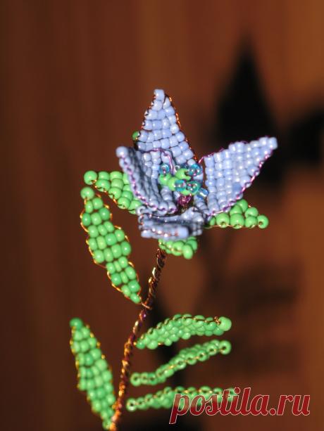 И снова после занятия.