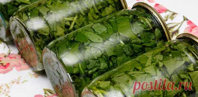 Рецепт щавеля на зиму "под закруточку". | Вкусно и красиво с Натальей Балдук.
